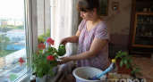 Подоконник как склад хлама — признак дурного вкуса: дизайнеры используют 3 простых решения, чтобы превратить его в декор