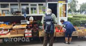 В Татарстане задержали обидчика пенсионера из Новочебоксарска