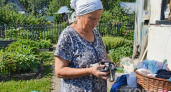 Старые носки в мусор не летят, делаю полезные вещи для дачи: 3 классных идеи без иголки и машинки