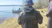 Раньше ловили вёдрами, теперь — штраф и конфискация: что случилось с этой рыбой