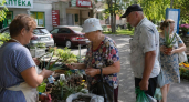 Живучий алоэ: 3 секрета успешного выращивания