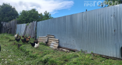 Закрыл щель под забором — и теперь на участок не пролезет даже кот: делюсь 5 рабочими способами