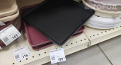 Купил блюдо в Fix Price для кухни, а теперь оно спасает мой огород: рассказываю про неожиданные дачные лайфхаки