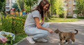 Один простой жест пальцем, который понимает каждая кошка — даже самая дикая