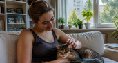 Срочно узнайте: почему ваша кошка внезапно кусается — 5 скрытых причин, о которых не догадываются 90% хозяев