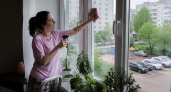 Вымыла окна простыми средствами: эффект прозрачности, как будто стекол нет — метод от профессиональной мойщицы