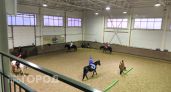 В Новочебоксарске собираются построить кормовой ангар для конноспортивной школы