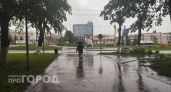 В Чувашию пришли дожди: прогноз погоды на 25 июля
