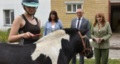 Конноспортивная школа Новочебоксарска встретила первых членов семей участников СВО 
