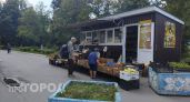 В Чувашии цены на товары выросли на 1,38 процента всего за месяц