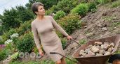 15 неприхотливых растений для каменистого склона и бедной песчаной почвы