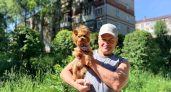 Новочебоксарец делает городские деревья красивыми: "Можно что-то изменить и своими силами"