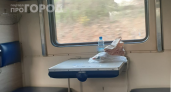 Плацкарт снова в моде: теперь все по-новому — места стало больше, а верхние полки остались