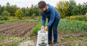 Доломитовая мука для раскисления почвы осенью и как избежать ошибок при внесении