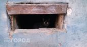 На обустройство новочебоксарских подвалов выделили еще несколько миллионов рублей