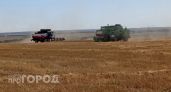 Чебоксарский район производит 42,4 процента сельхозпродукции Чувашии