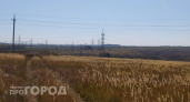 В Новочебоксарске и Чувашии аннулировали девять деклараций на 16,8 тысячи тонн зерна