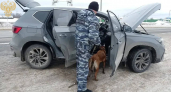 В Новочебоксарске женщине дали семь лет за попытку сбыта 8 кг наркотиков