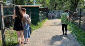 Жителей Новочебоксарска пригласили на бесплатный праздник в честь наступающего Дня города