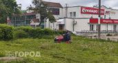 На исходе лета в Новочебоксарске вновь заговорили о некошеной траве