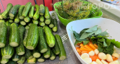 Огурцы в банки больше не закатываю: делаю закуску прямо в пакете — 20 минут и к столу