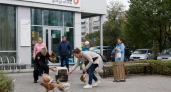 Нужно ли нести куриц в МФЦ: Россельхознадзор всё прояснил — вот что реально надо сделать