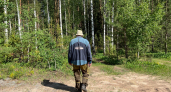 Комары облетают это средство за километр: забытый советский метод защиты — попробовала на даче и осталась без укусов