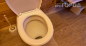 Ходить в туалет на обычный унитаз больше не модно: сейчас умные хозяева ставят другие варианты — намного гигиеничнее 