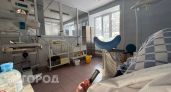 Декретные выплаты для студенток вузов и колледжей выросли до 96 тысяч рублей