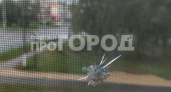 Уголовные дела за стрельбу и похищение, гибель бойца и инвестиции в новые рабочие места: главные события недели