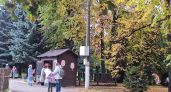 Теплая среда без дождей: прогноз погоды в Новочебоксарске