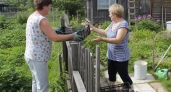 Не стесняюсь просить пластиковые ящики у соседей: вот как превратила «мусор» в полезные вещи на даче