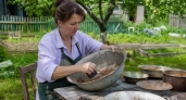 Ржавые миски и тазы пускаю в дело: нашла крутой способ применить их осенью на даче с пользой для урожая