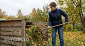 Как заставить компостную кучу перепреть за сезон без покупки дорогих ускорителей