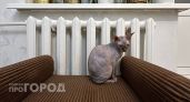 Тепло дали, а батареи ледяные: куда звонить замерзающим жителям Новочебоксарска