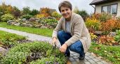 Садовые растения подушки для оформления альпинария и бордюров с весны до осени