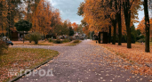 В Чувашии ночью ожидаются заморозки до -1 при сухой погоде