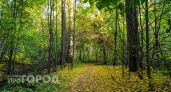 В Новочебоксарск придет кратковременный дождь