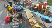Осенняя ярмарка в Новочебоксарске продолжит работу в пяти точках города