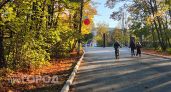 Куда сходить за удачными осенними кадрами в Новочебоксарске помимо Ельниковской рощи