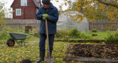 Кроты пакуют чемоданы: одно народное средство — и газон снова гладкий, как бильярдный стол 