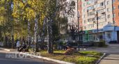 Середина октября без заморозков: южный ветер принесет в Новочебоксарск весеннее тепло