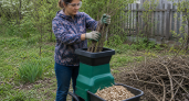 Вёдра сухих веток рублю на щепу: рассыпаю по огороду — и почва становится пушистой, как взбитые сливки