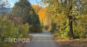 Аномальное тепло в середине осени: прогноз погоды в Новочебоксарске 