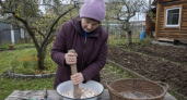 Не выбрасываю скорлупу — устраиваю ей кислую «ванну» на 48 часов: весной почва рыхлая и мягкая как пух 