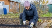 Не сколачиваю грядки заново каждую весну: бортики с Ozon переживают сезоны без гнили и трещин