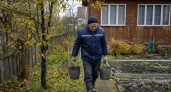 Дырявые вёдра складываю ярусами в каскад: получаю урожайную башню на одном квадратном метре