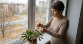 Как заставить цвести капризный декабрист пятью надежными способами к декабрю 2026 года