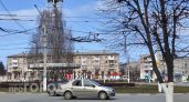 Новочебоксарцам стоит утеплить растения из-за возвращения ночных заморозков до -1 градуса: днем до +10