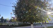 В последний день октября Новочебоксарск ждет резкий суточный контраст температур